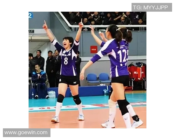 北京排球队个人能力分析与提升策略探讨 北京排球队个人能力分析与提升策略探讨