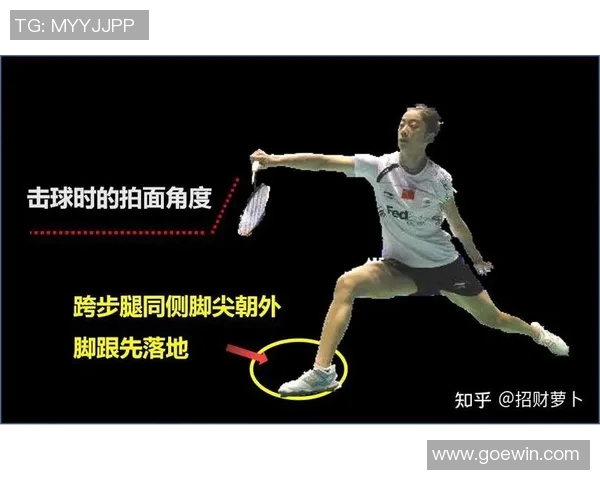 成都羽毛球队的阵地战揭秘：深度解析羽毛球的战术与技巧