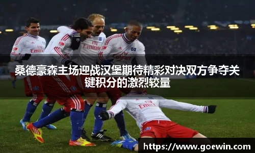 桑德豪森主场迎战汉堡期待精彩对决双方争夺关键积分的激烈较量